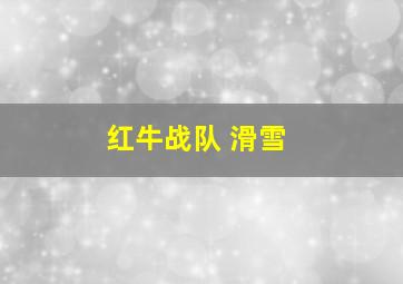 红牛战队 滑雪